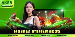Đá Gà Cựa Sắt - Tự Tin Với Cẩm Nang Cược Cho Người Mới